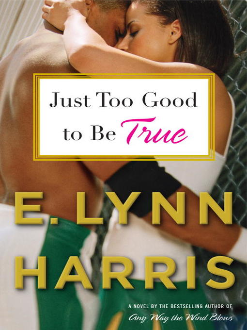Click here to view title details for Just Too Good to Be True by E. Lynn Harris