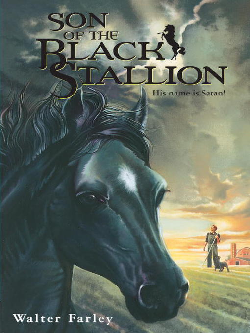 Click here to view title details for Son of the Black Stallion by Walter Farley