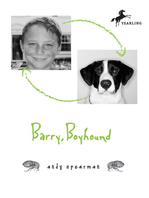 Click here to view title details for Barry Boyhound by Andy Spearman