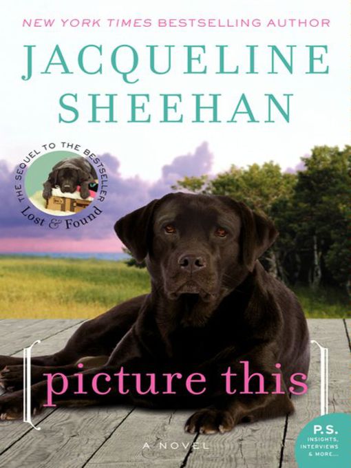 Click here to view title details for Picture This by Jacqueline Sheehan