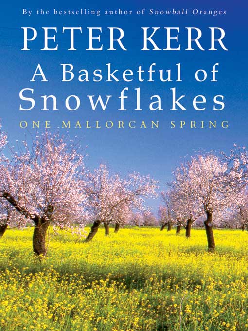 Click here to view title details for A Basketful of Snowflakes by Peter Kerr
