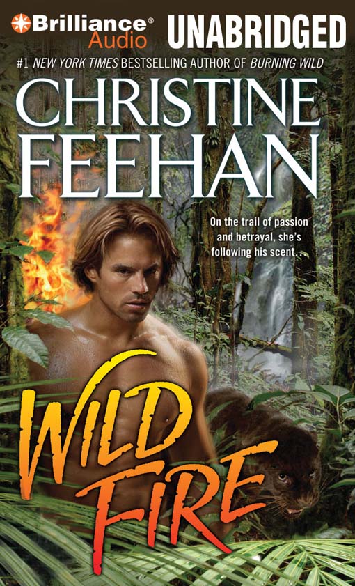 Click here to view title details for Wild Fire by Christine Feehan
