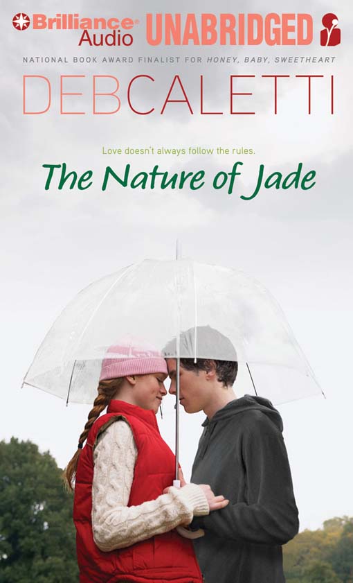 Click here to view title details for The Nature of Jade by Deb Caletti