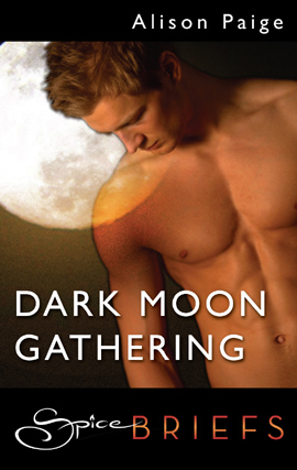 Click image to view full cover