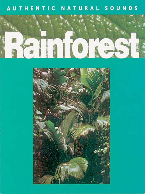 Rainforest
