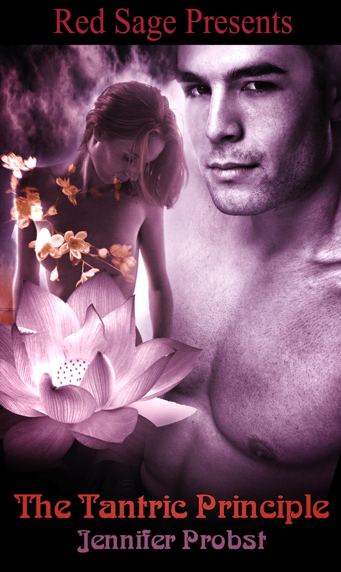 Click here to view title details for The Tantric Principle  by Jennifer Probst