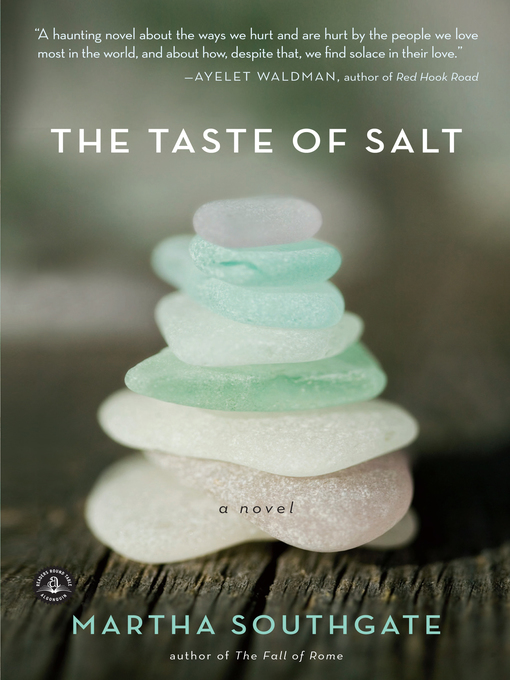 Click here to view title details for The Taste of Salt by Martha Southgate
