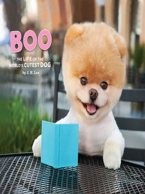 Click here to view title details for Boo by J.H. Lee