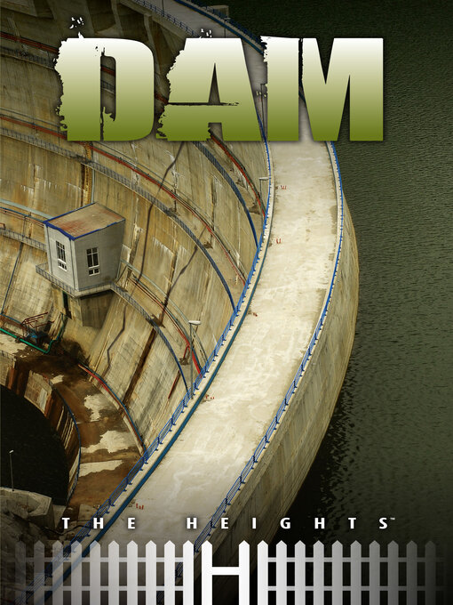 Click here to view title details for Dam by Saddleback Educational Publishing