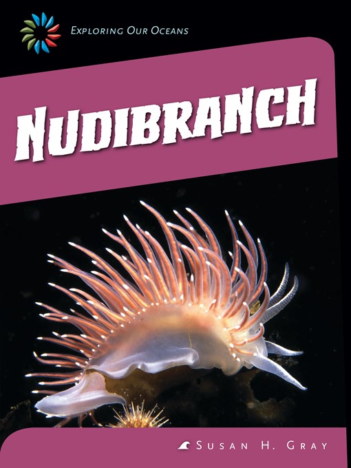 life cycle of a nudibranch