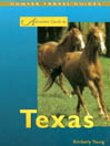 Adventure Guide to Texas