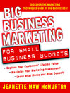Big Business Marketing For Small Business Budgets
