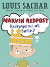 Click here to view title details for Kidnapped at Birth? by Louis Sachar