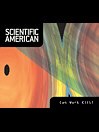 Scientific American: Can Work Kill?