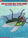 How Do Flies Walk Upside Down?