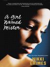 Click here to view title details for A Girl Named Mister by Nikki Grimes