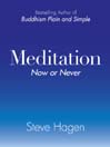 Meditation Now or Never