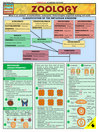 QuickStudy - Zoology@