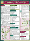 QuickStudy - Strategic Management@