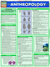 QuickStudy - Anthropology@