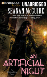 An Artificial Night