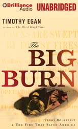 The Big Burn