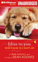 Bliss to You