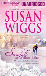 Snowfall at Willow Lake