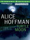 Turtle Moon
