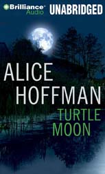 Turtle Moon