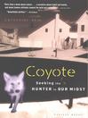 Coyote