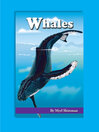 Whales, Grade 3