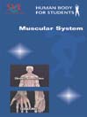 Muscular System