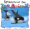 Splashtime for Zoo Animals