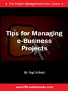 Tips for Managing e-Business Projects