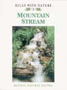 Mountain Stream
