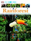 Rainforest
