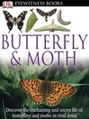 Butterfly and Moth