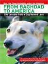 From Baghdad to America