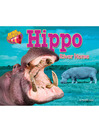 Hippo