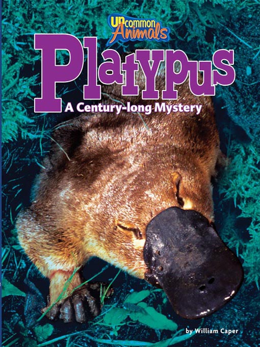 Platypus: A Century-long Mystery