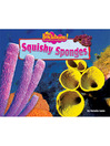 Squishy Sponges