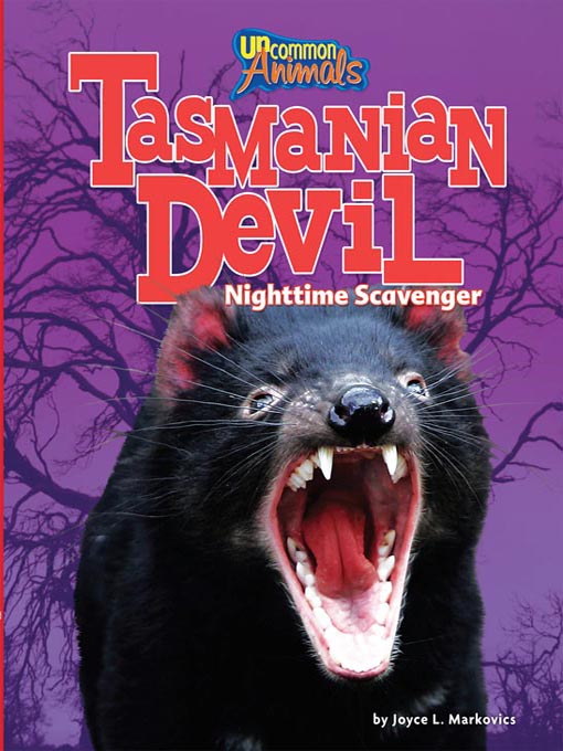 Tasmanian Devil