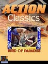Bird of Paradise@