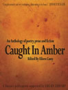 Click here to view title details for Caught in Amber by Eileen Casey