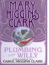 Plumbing for Willy