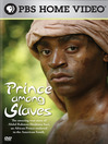 Prince Among Slaves
