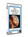 The Miracle of Life