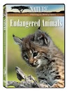 Endangered Animals