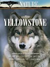 Yellowstone, Part 1 of 2